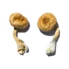 Cambodian Gold Magic Mushrooms jpg