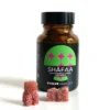 Shafaa Evolve Magic Mushroom Microdosing Gummy Bears 1 jpg