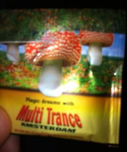 magic mushroom tea near me 1