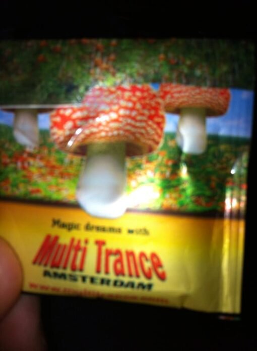 magic mushroom tea near me 1