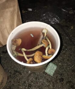 shroom tea for sale 1