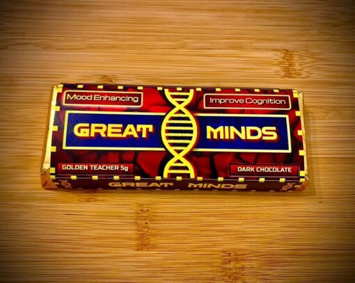 Great Minds Mushroom Chocolate Bars